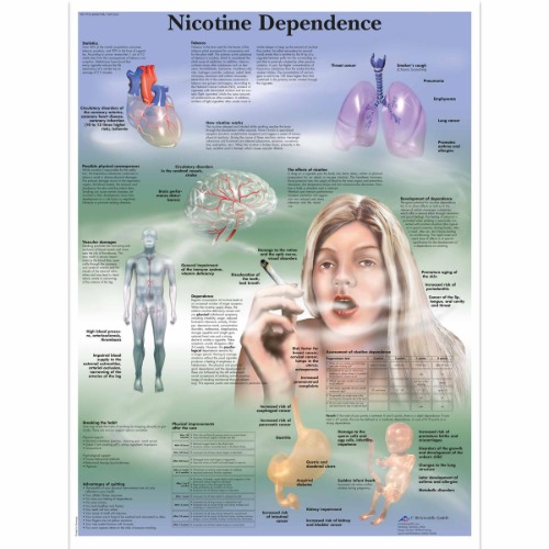 니코틴 중독 차트Nicotine Dependence Chart VR1793L [1001622]