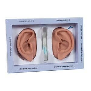 침술 귀 모형 2 Acupuncture Ears N15 [1000373]
