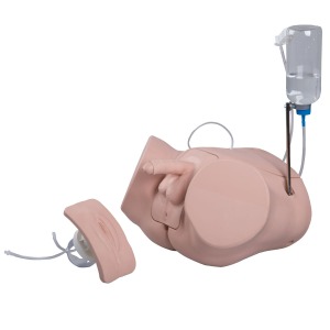 카테터 삽관 트레이너 세트(여성,남성) Catheterization Simulator Set PRO P93P-S [1020843]