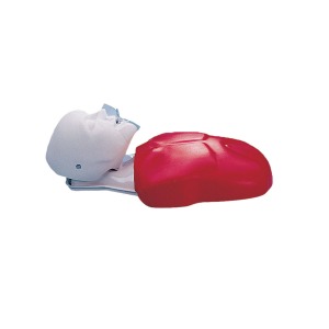 심폐소생술 기본형 마네킹 Basic Buddy CPR Torso W44108 [1005637]