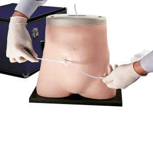 복막투석 시뮬레이터(지속복막투석법) Peritoneal Dialysis Simulator - For Continuous Ambulatory Peritoneal Dialysis W44768 [1013747]