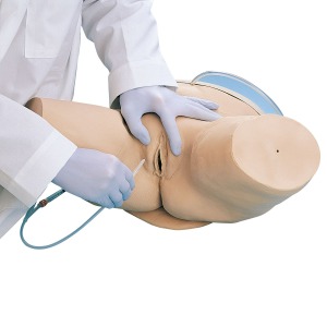도뇨 실습 모형, 여성 Catheterization Simulator, female W44006 [1005588]