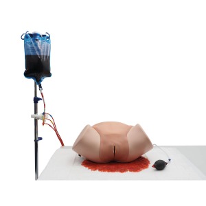 산후 출혈관리 트레이너 Postpartum Hemorrhage Simulator – PPH Trainer P97 PRO[1023727]