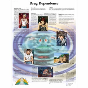 약물 중독 차트 Drug Dependence Chart VR1781L [1001618]
