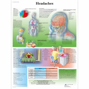 두통 차트 Headaches Chart VR1714L [1001604]
